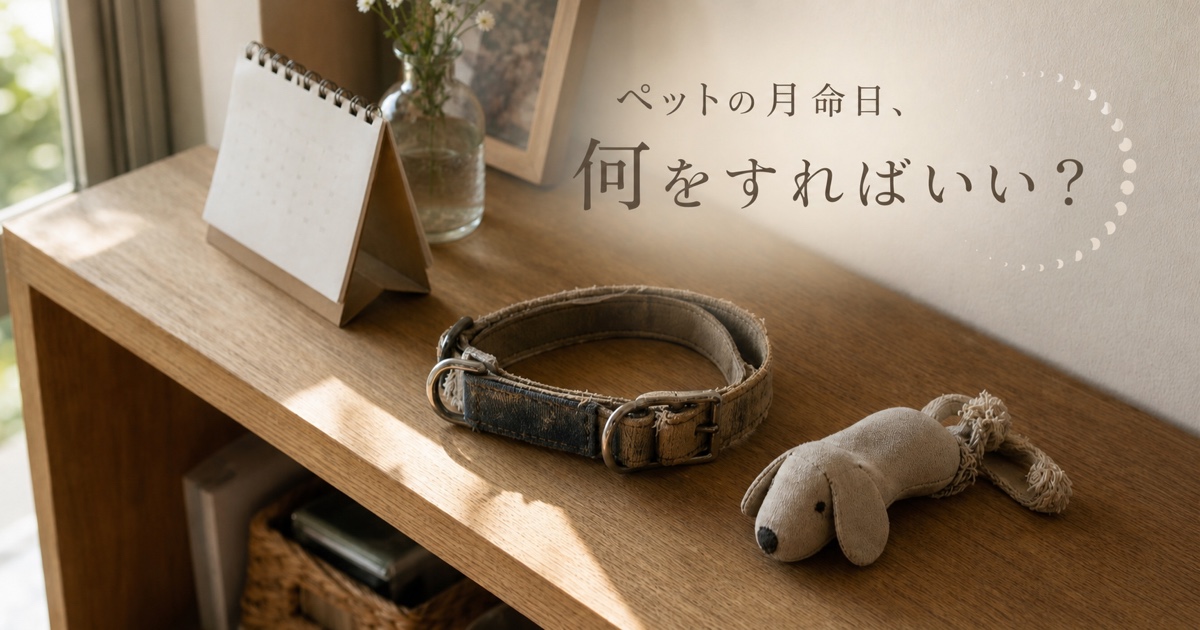 「ペットの月命日、何をすればいい？」と書かれた、ペットの写真と首輪のそばに花を置く手元